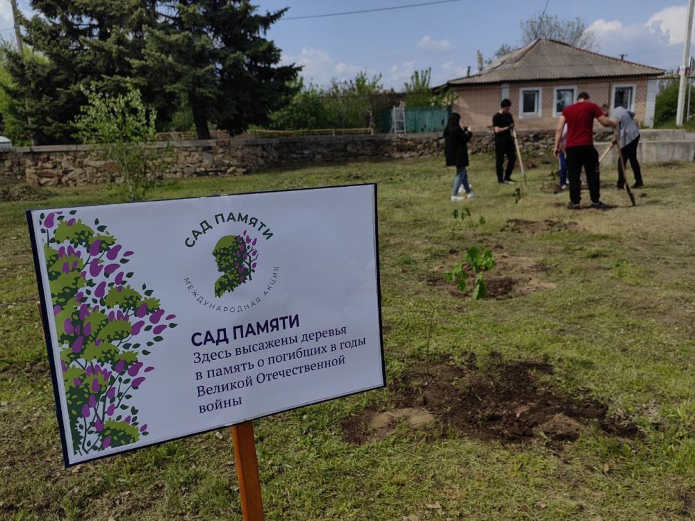 Представители Росреестра по ЛНР высадили деревья в память героев Великой Победы на территории Станично-Луганского округа
