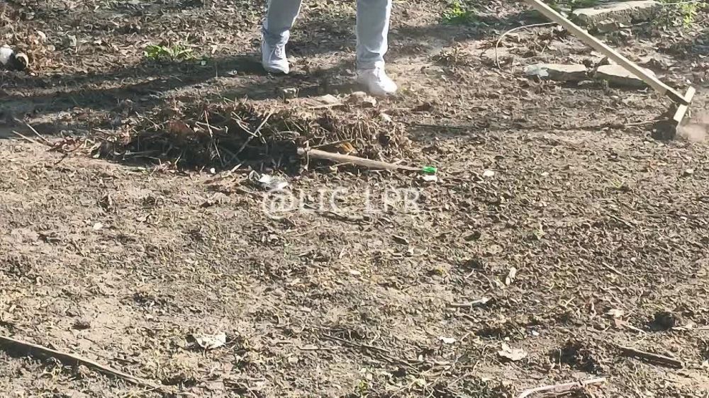 Более 300 жителей Луганска присоединились ко всероссийскому субботнику в сквере Алексеева