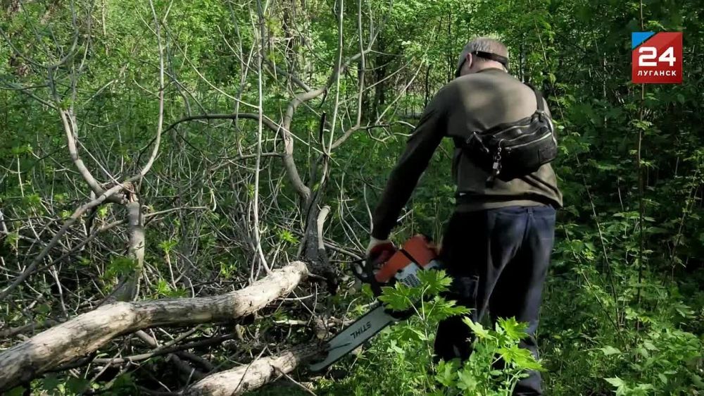 Республика присоединилась ко Всероссийскому субботнику