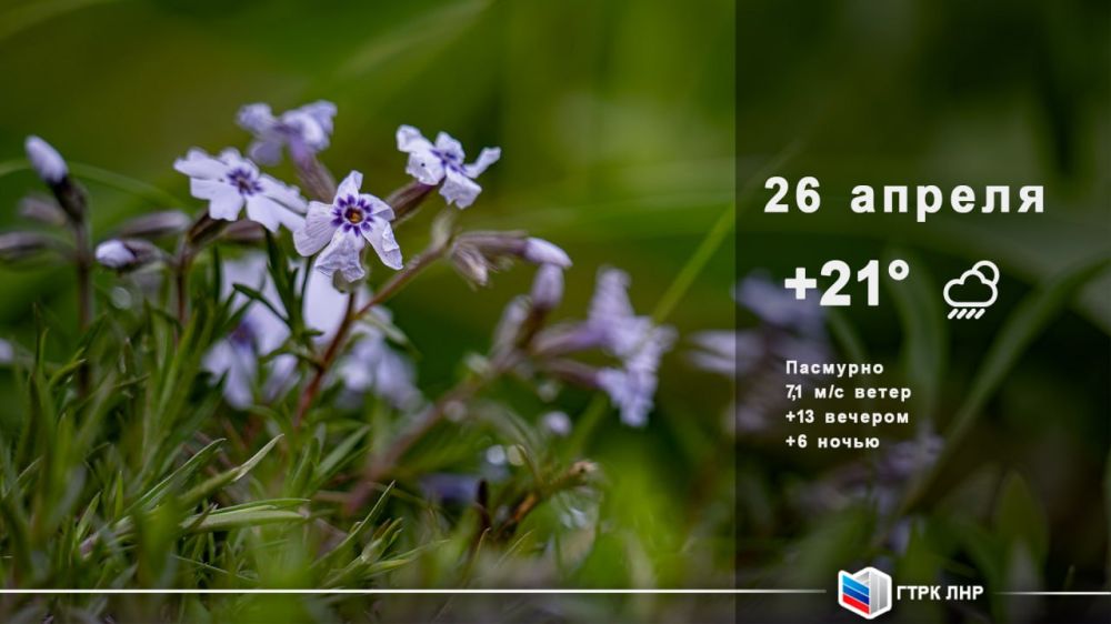 Доброе утро, Луганская Народная Республика!