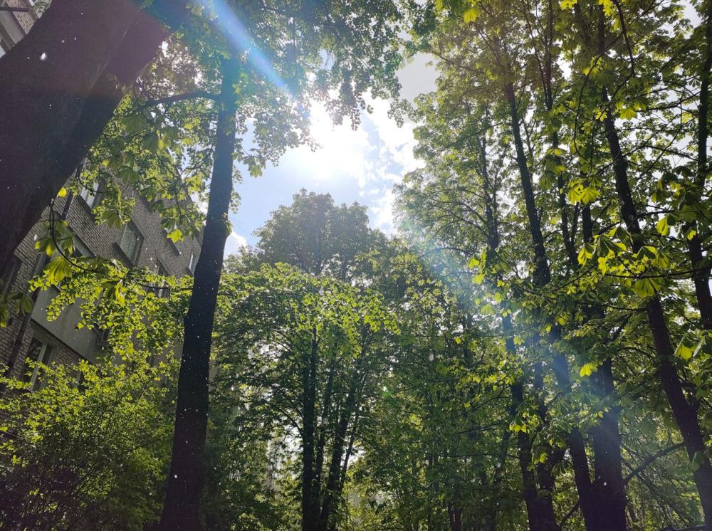 В ЛНР прогнозируют опасные заморозки