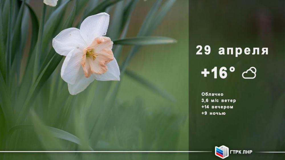 Доброе утро, Луганская Народная Республика!