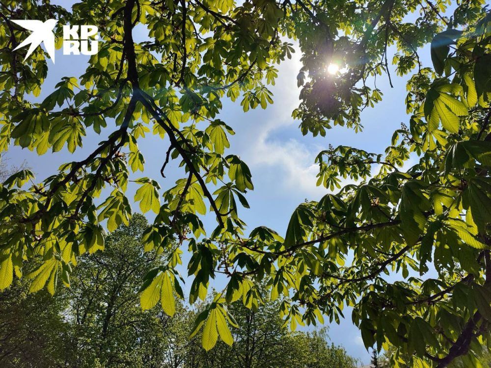 В Луганске 30 апреля синоптики прогнозируют до +23 градусов