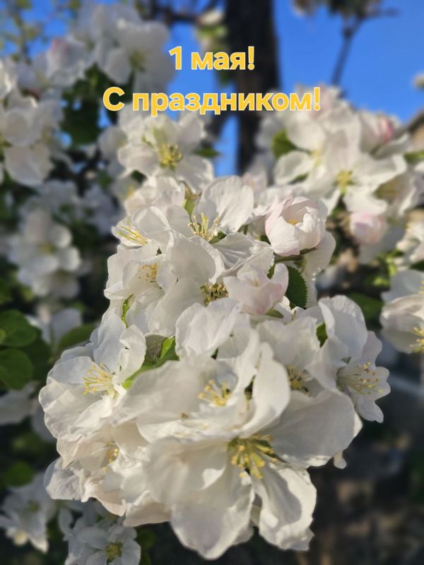 Галина Дуброва: Дорогие друзья! Поздравляю с праздником Весны и Труда!