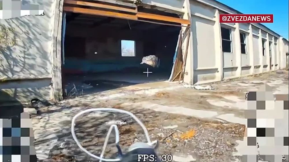 ������� ����� � ����� ��������� � ������ M-55S � ����� ���� ����������� ������������ �� ����������� �����������