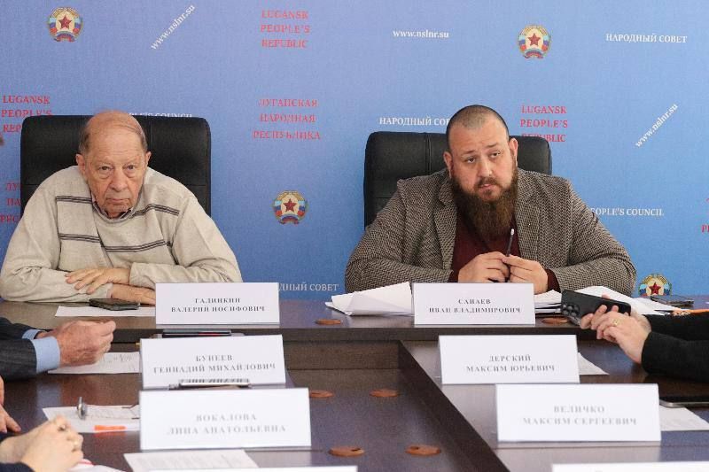 Инна Швенк: В Социальном комитете обсудили актуальные направления работы в сферах труда и социальной политики, образования и здравоохранения