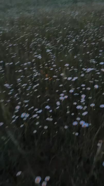 ��������� ����! ������� ���� ������, � ����� ���������� ������������ ���� ��������� ������ ����������� ���� ��������� ������� ��� �������� �����, ���� ������� ������� � �����, ��������� ������ ������ �� �����