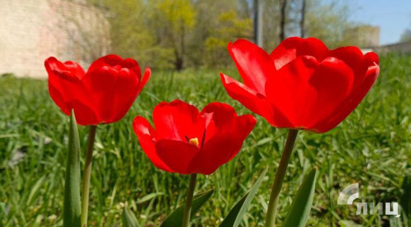 ��������� ������������ ���� 3 ��� � ��� �� 21 ������� ����� � ��������� �����