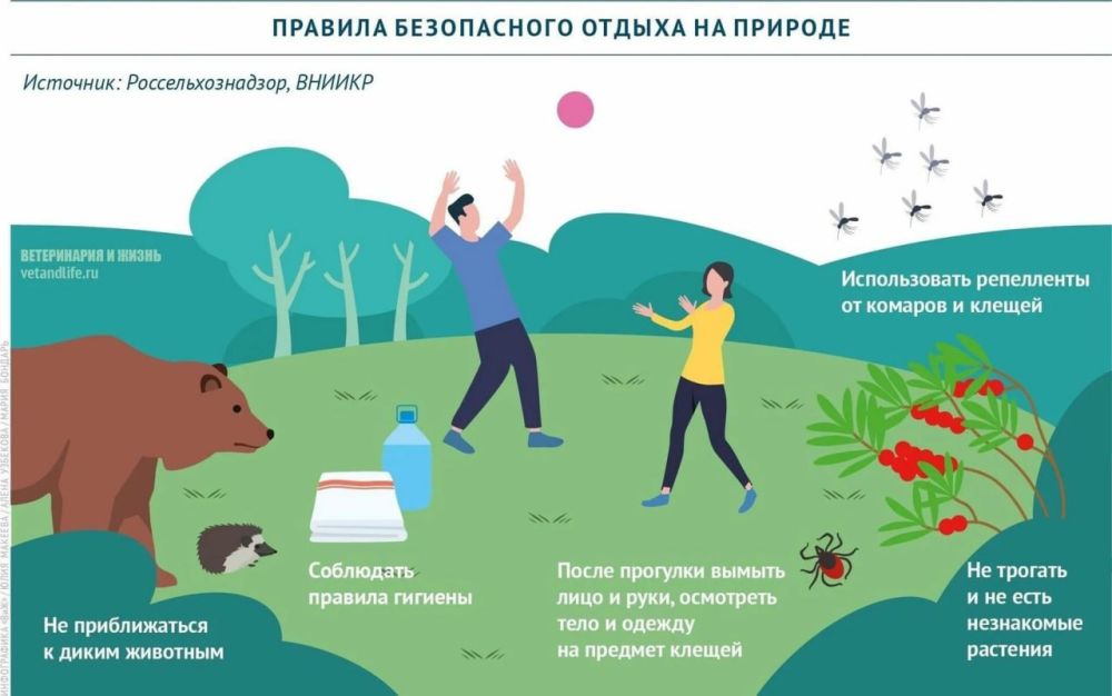 ������� ���� ������� ����������, � ������ ������ ���������� ���������� ����� �� �������