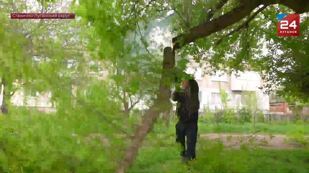 �������� ������� ������������� ����� ������ �������� �� ��������-���������� ������ ������� ������������� ������� ������