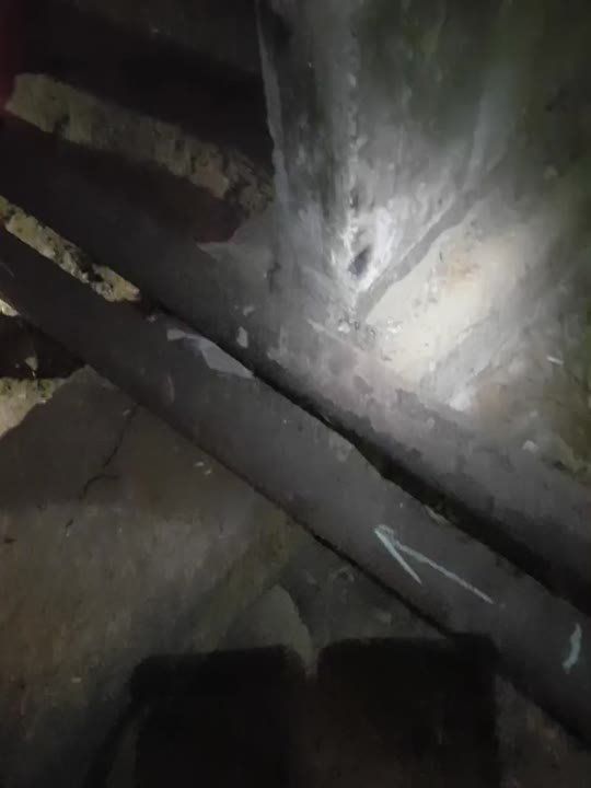 ���������� ������ ����������� �������� ����� ����������� ������ �� ���������� ������������ ������� ������������ ��������� � ������������ ��������