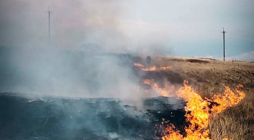 ������������ ��������������� ���������� � ������-�������� ������� ��� 3 � 4 ���, �� ������ ����������� ��������� ������� ���������������