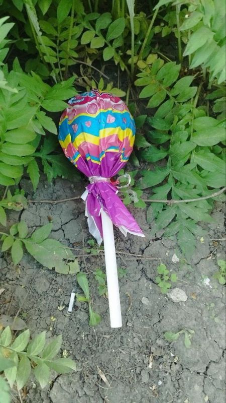 ������ ���������!. �������� ����� ��� ����������� ��������� ����������, ����������� ��� �������� ���������� �������� �� ����� ��� ������ ������ ���������