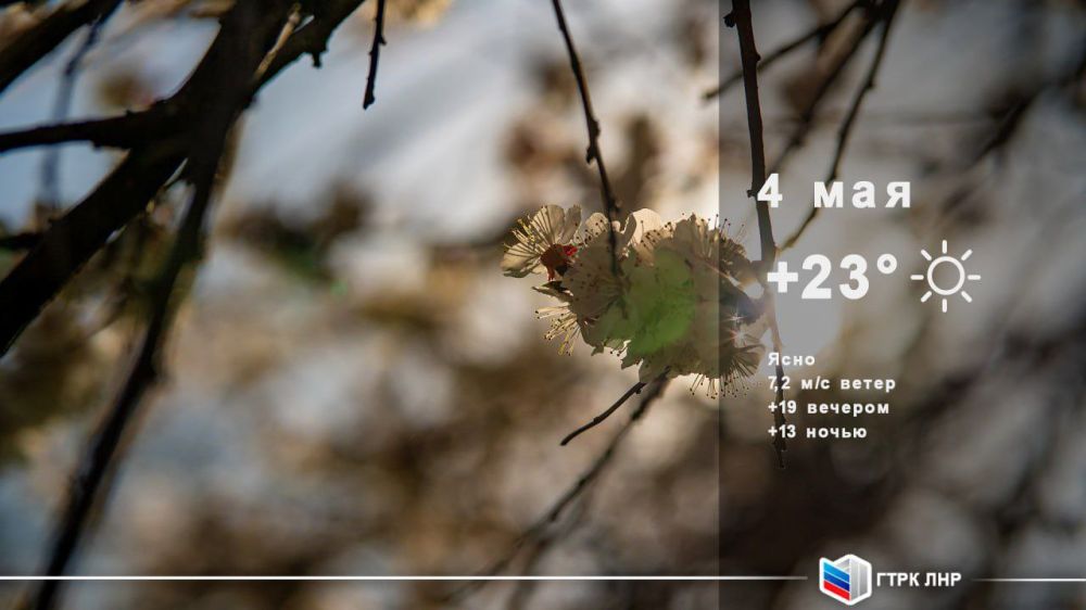 ������ ����, ��������� �������� ����������!