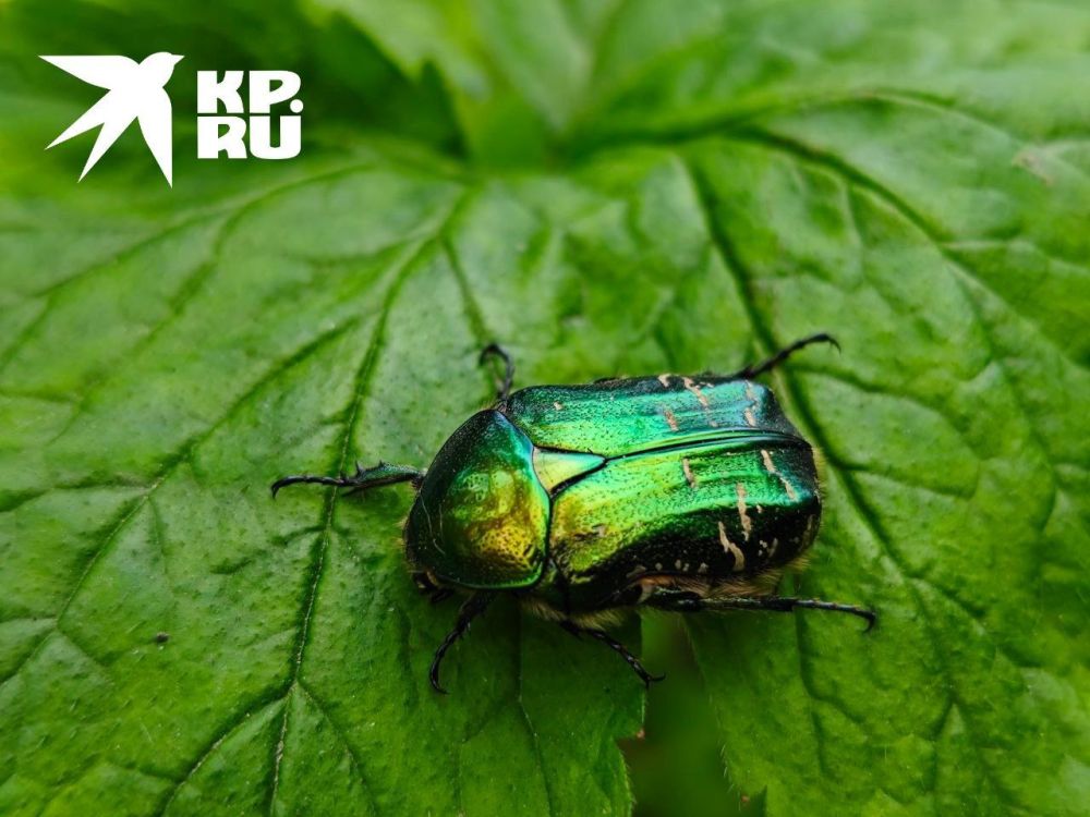 ��������� ����� ������ � ������� �����