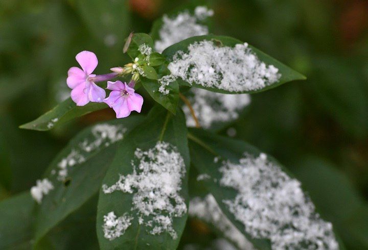 ��������� ����� ��������� ������ � ���