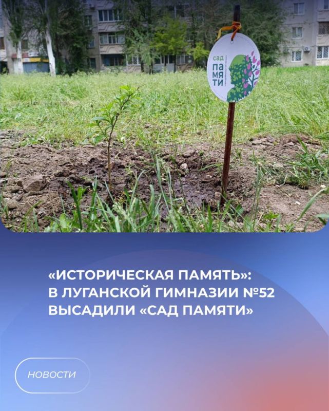 «Историческая память»: В Луганской гимназии №52 высадили «Сад памяти»