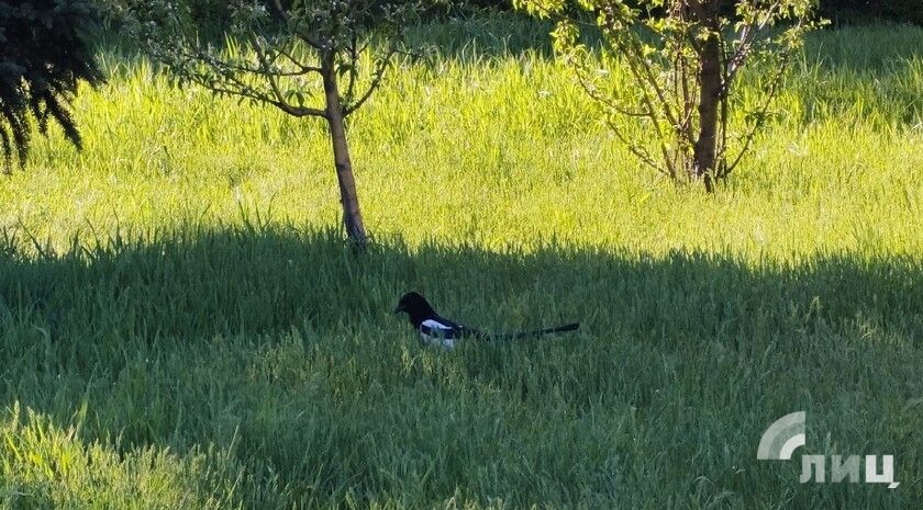 ��������� ������������ 7 ��� � ��� �� 24 �������� ����� � ��������������� �����