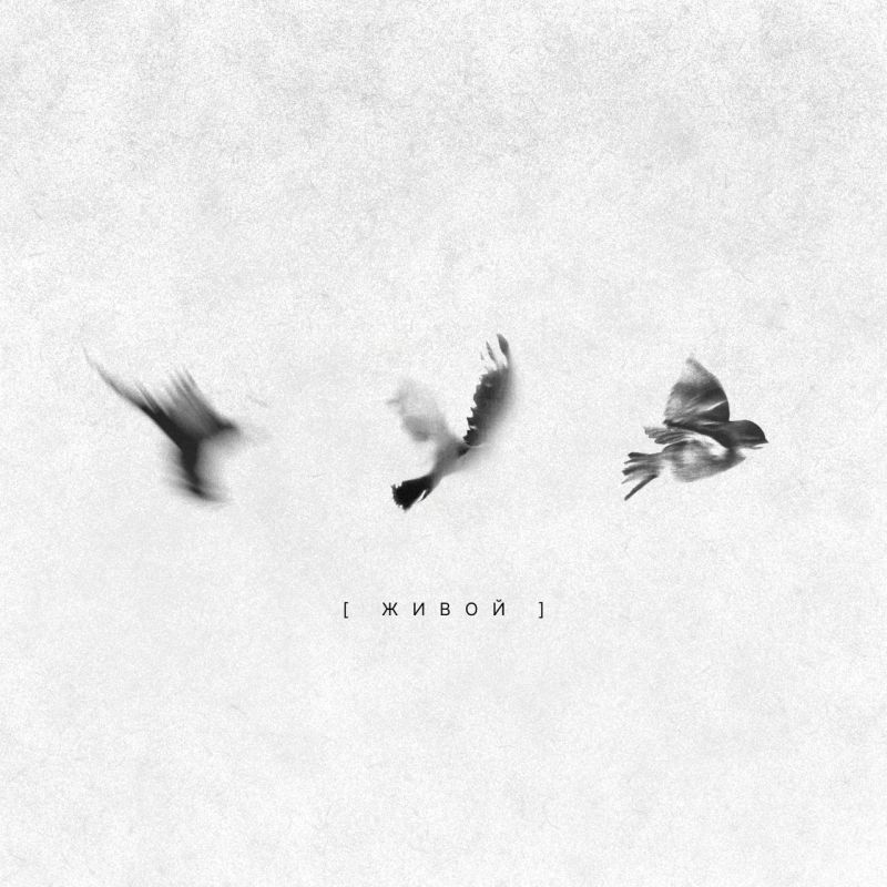 ������� ������! ���� ���������� ������, �����-����������� ���� ���������� ��������� � ������������ ������� ����� ��������� �������� �� ����� ��������� ������ ������