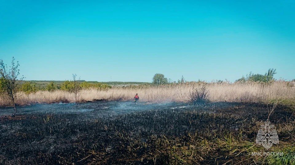 �� ����� � ��� �������� 20 �������