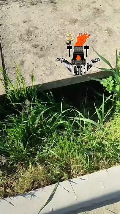 � ������ �������� ����� ���� � �������