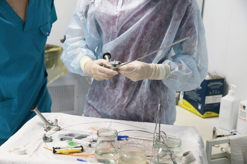 � ����� ������ ����� ���������� �������� �� ������ �������