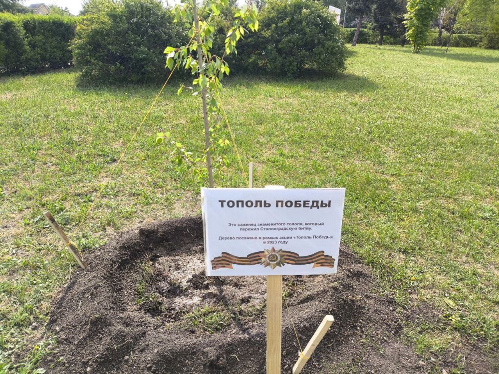 ����� ������� ������� ������ � ��������