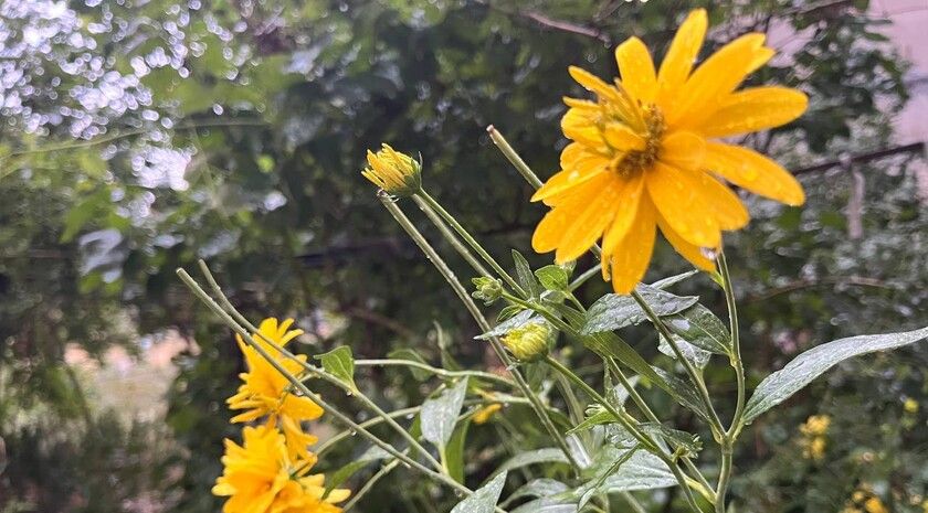 ������� ����� � ������ � ������ ��������� � ��� 8 ���