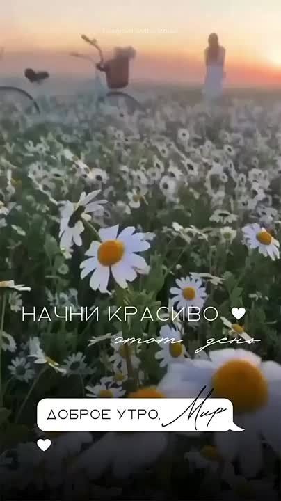 ������ � ���� � ��� ������ ������, ������� ��������� ��� �����