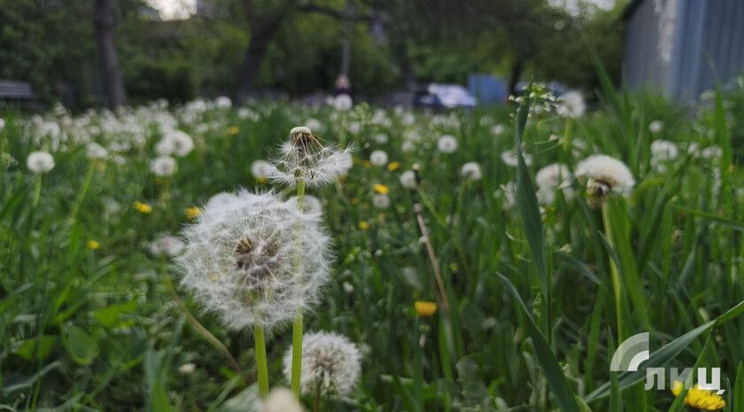 ��������� ������������ 9 ��� � ��� �� 22 �������� �����, �����, ����� � ����