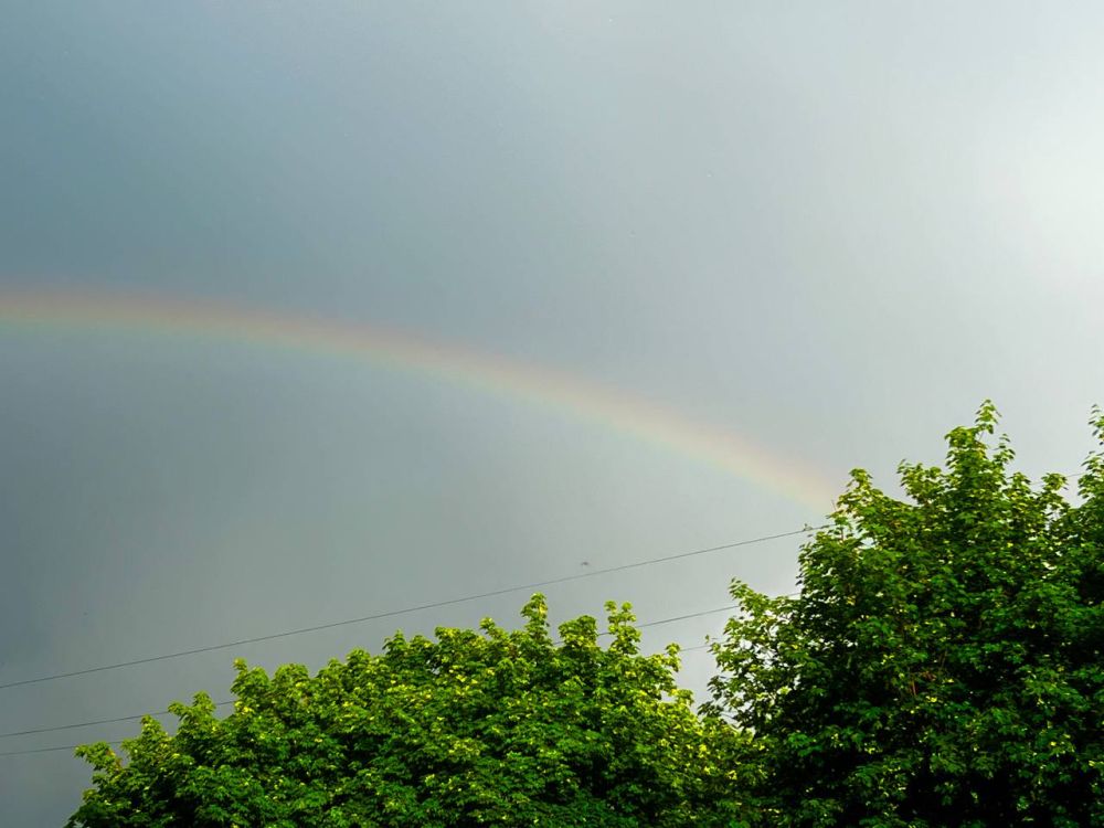 ������ ��� ���������. ��� ������� �������