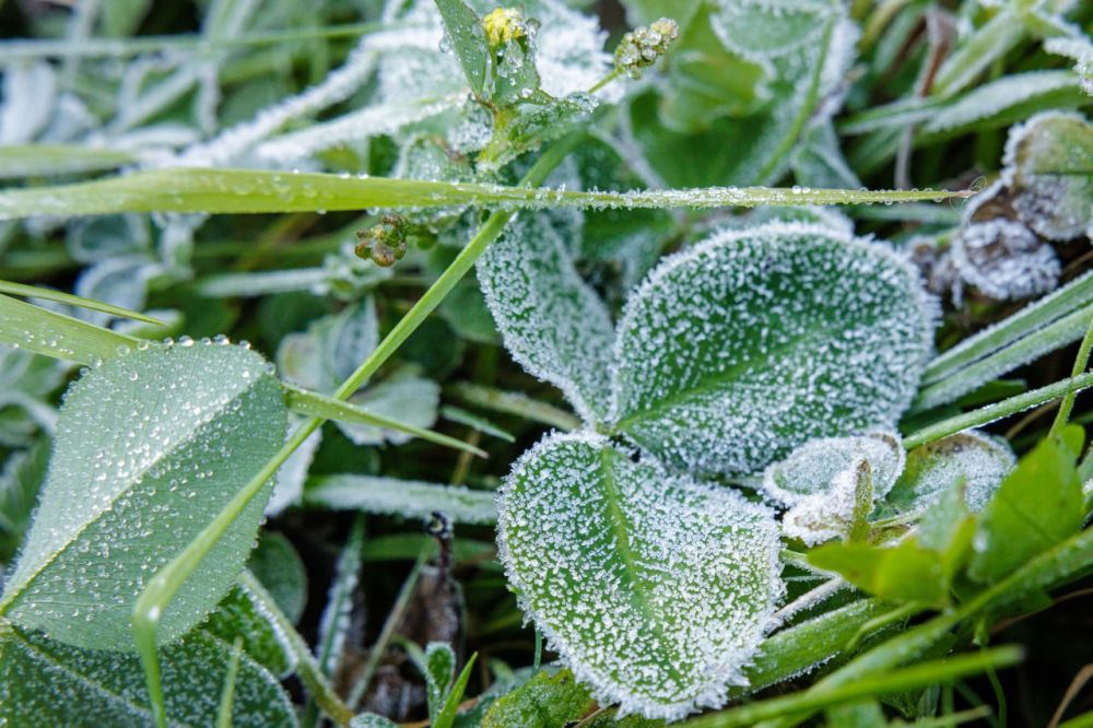 ��������� ������� ������� ��������� � ��������� �������� ���������� 11-12 ���