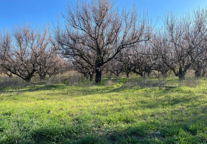 � ���� �� 11 ��� � ����� 12 ��� � ��������� ������� ���������� �������������� ���������, ����������� ����� ���������� �� -2 ��������