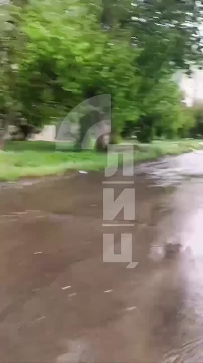 � ��� ����� ������ ������� ���� � ��������� �������� �������