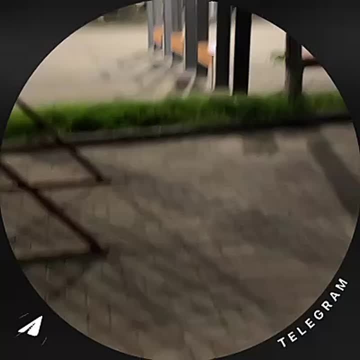 ����������� ������� � �������� ������� ������� � ������������ ��������, ������� ����� 12 ���: �������� ���������, �� ���� ������ � ����� �� ������� ������������� �����-����������������