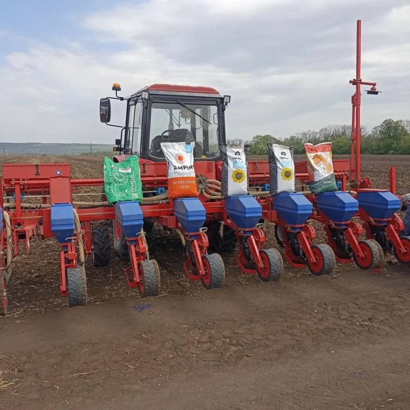 ����� ������� �������������, �������� � ����� �������� ��������� � ���, �������� � ����������� ����������