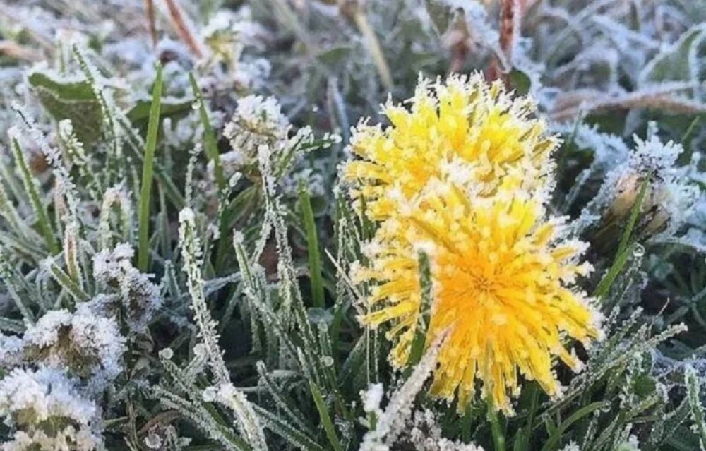 � ���������� ��������� ���������