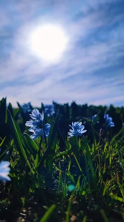 ������ ������� �� ���������