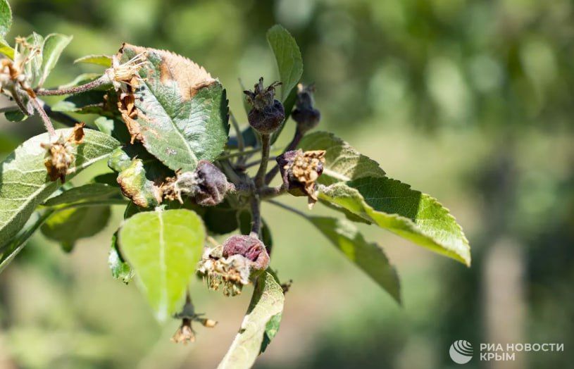 ������ �� ����� ����������� ������