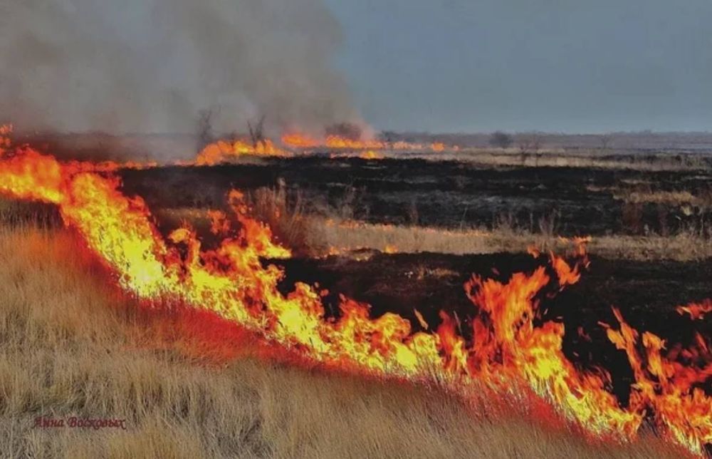 � ���������� ��������� ��������������� 4 ������