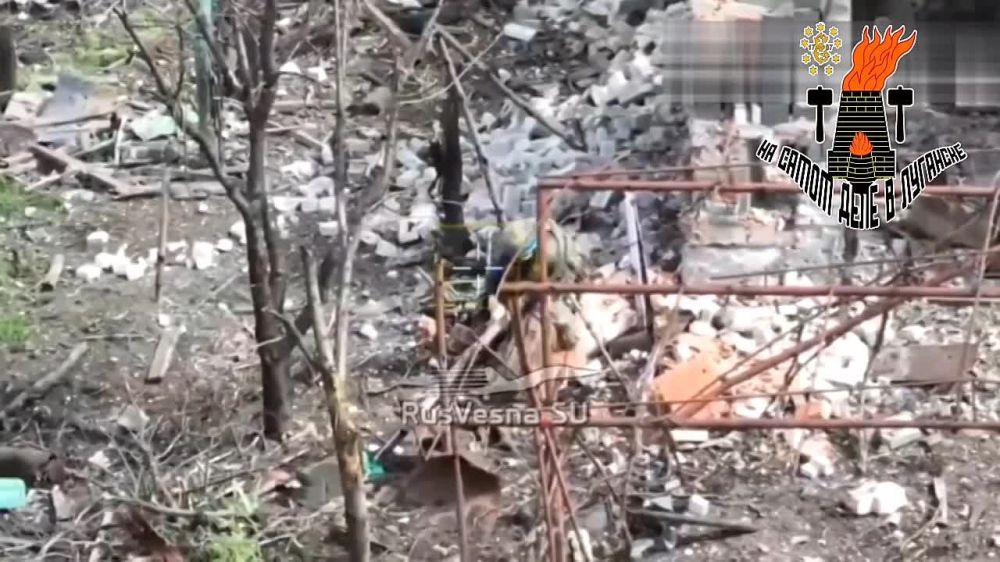 ������ �� ��� �� ������: ���� �������� ����� � �������� �������� - ���� �� ����� ������� ����� ����� ����