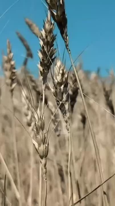 ��������� �������� ���������� �������� ���� 11-� ���� ��������!