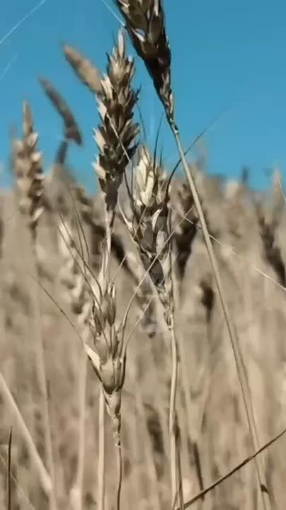 �2014 ���. � �������� �� ���� �� �����, �� �����, �� ����������, ���� �������� ������ ��������