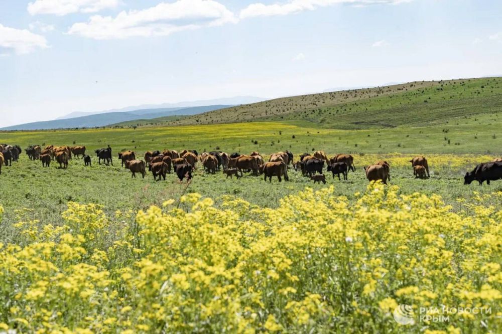 ������ �� ����� ����������� ������