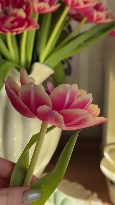 ������� ����� �������������� ����� �����, ������� �� �� �����, ��� �������� ��������