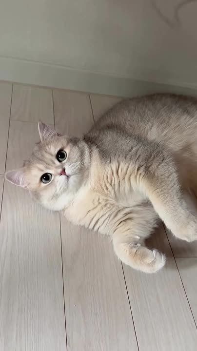 ���������� ���� ��������, � ��� ��������� �����, ���������� ������ � ��� �����, � �� ����� �������