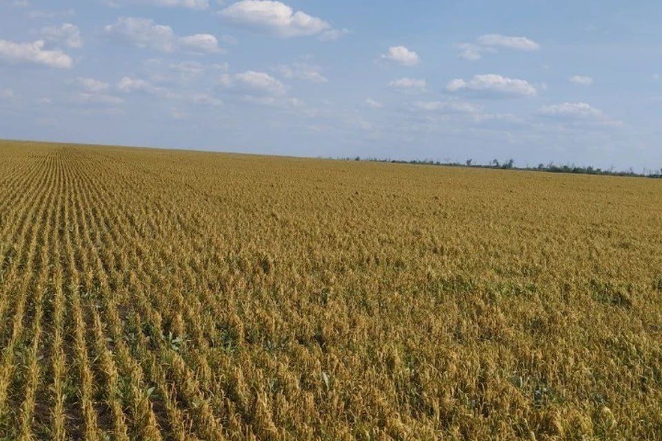 ���������� ������ ����� ������: ������� ��� ����������, ��� �������� ��������� ������ ��� �������� ������