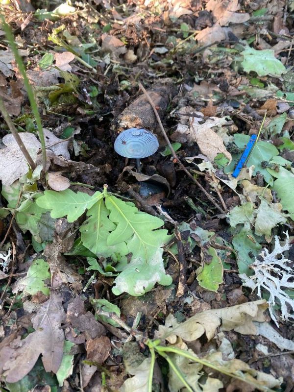 � ������ ��������� ���������� ������� ��������� ����� ��� ��������������� ���