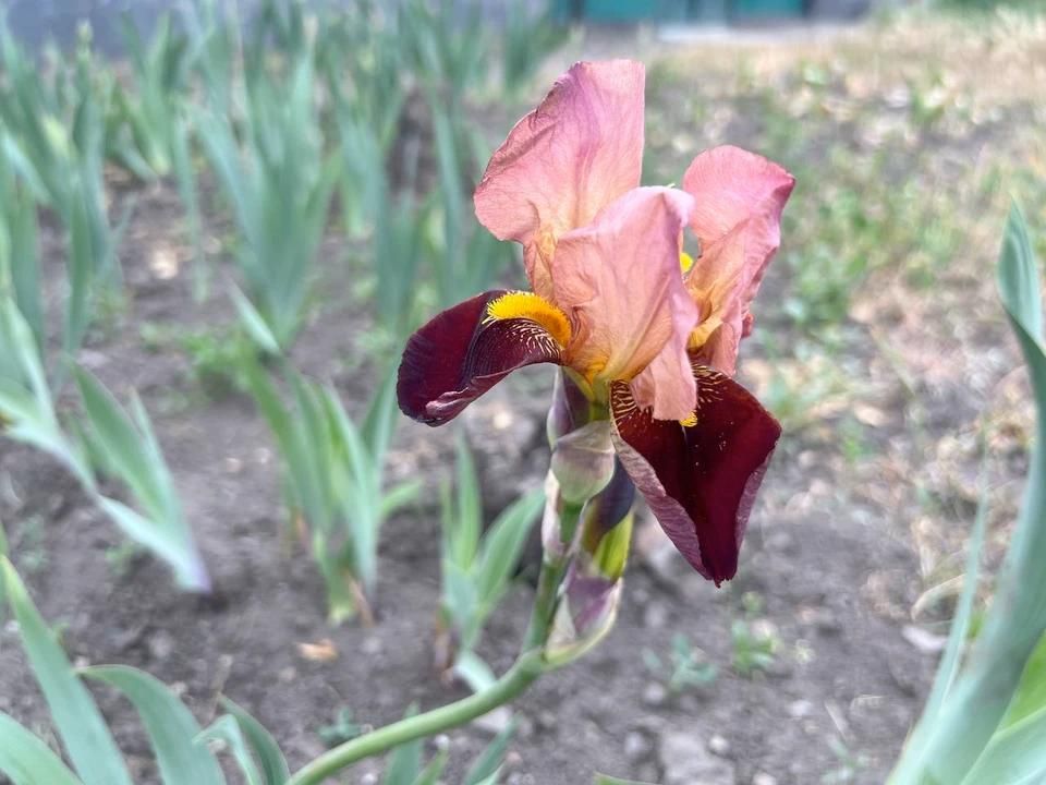 ��������� ������������ ����� � �������� 15 ���