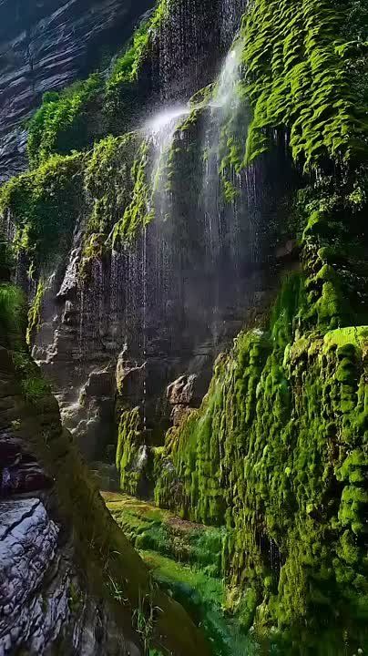 ����� �� ��������� ����� �����, ��� �� ����, ��� ������ ��� ���� ���������� �����